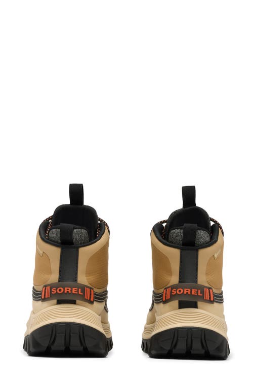Sorel Callsign Horizon™ Mid Gtx Gore-tex® Waterproof Sneaker In Neutral