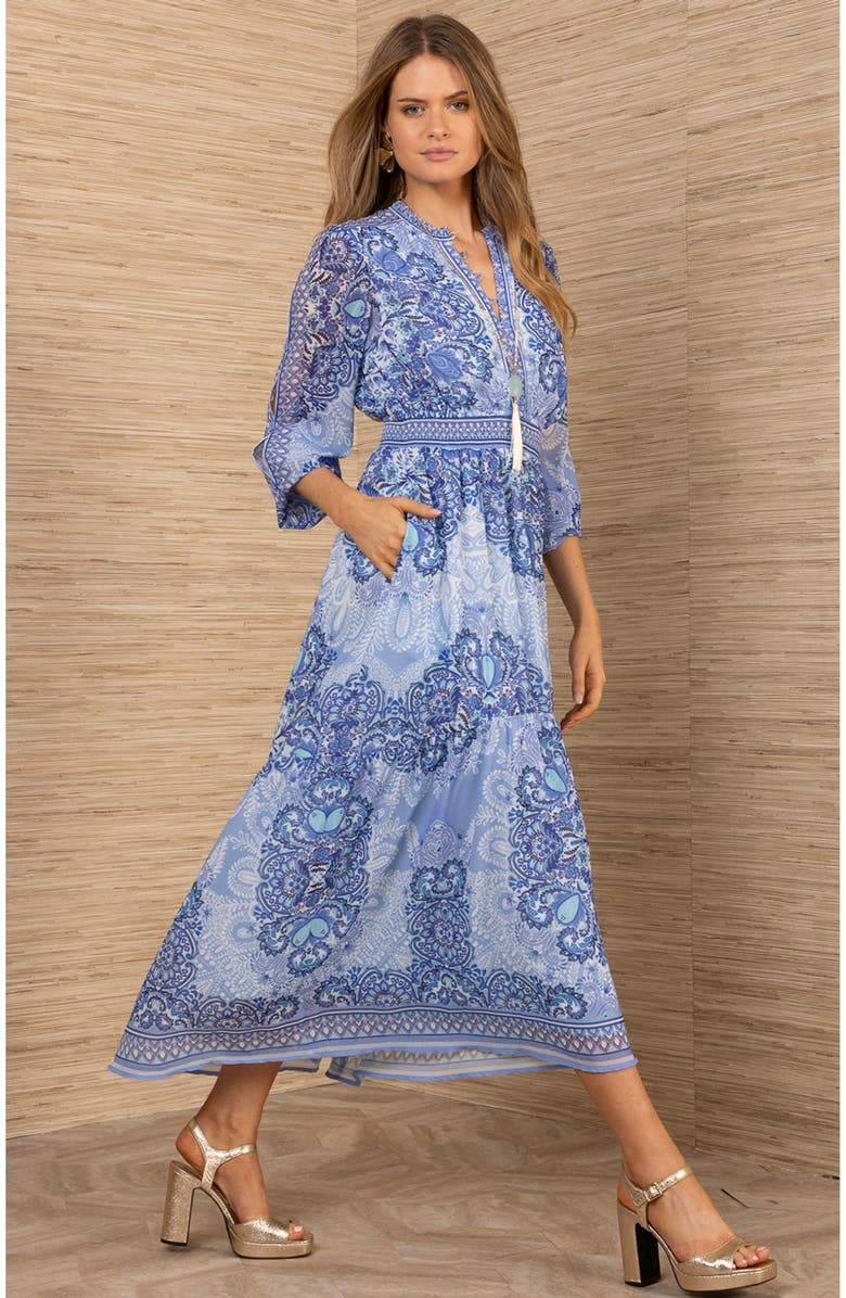 Hale Bob Eleanora Chiffon Maxi Dress, Alternate, color, 