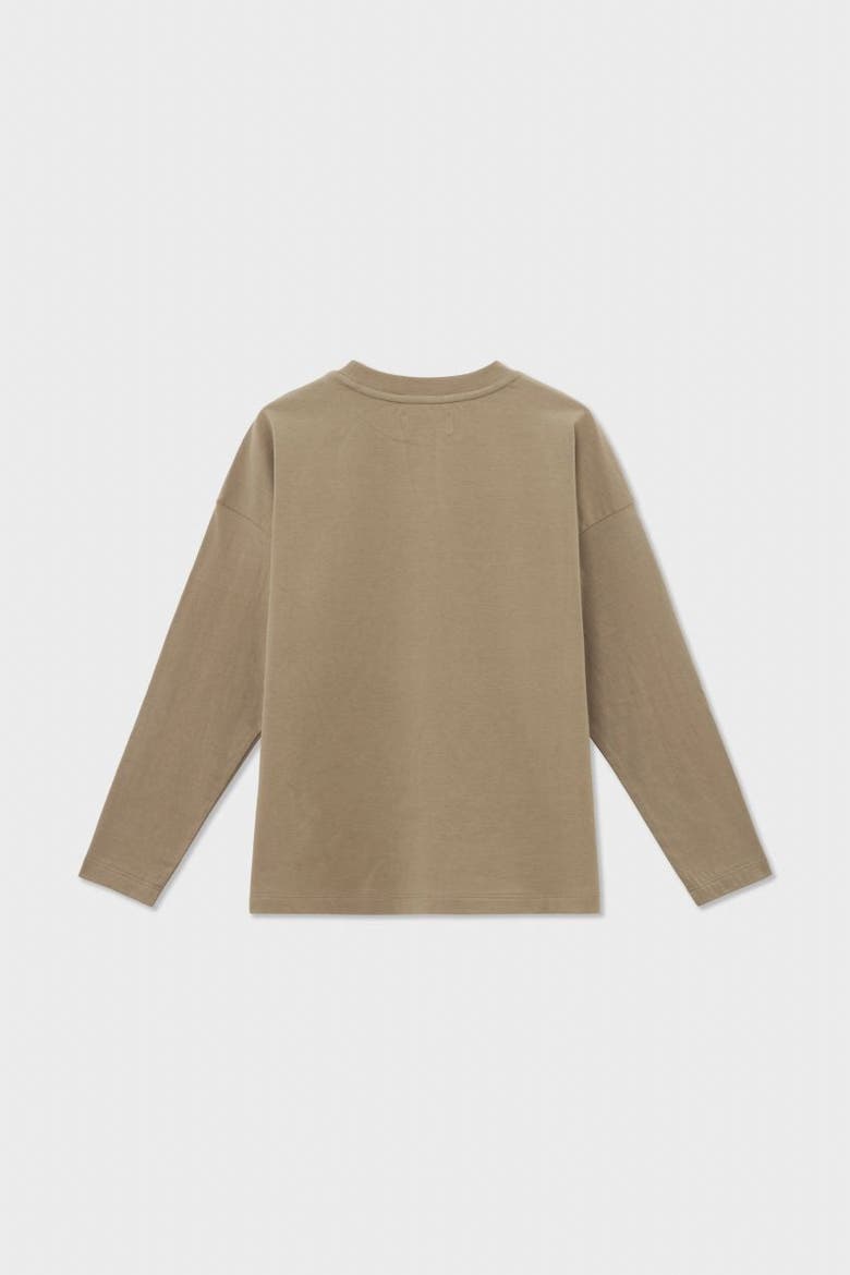 Relaxed Long Sleeve T-Shirt, Alternate, color, Light Brown