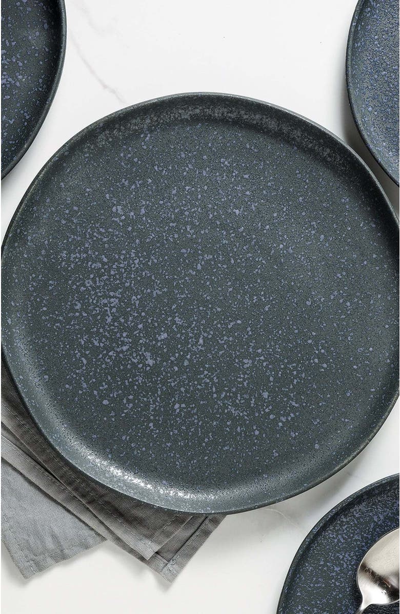 Stone Lain Tom Stoneware 4-Piece Dinner Plate Set, Alternate, color, Gray And Blue