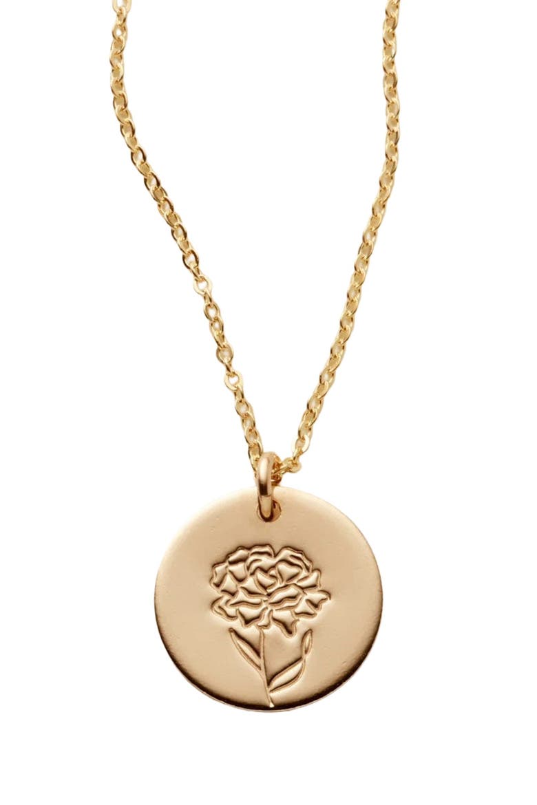 January Birth Flower Necklace, Main, color, Gold Filled