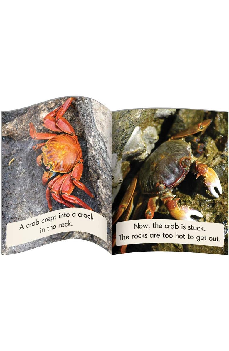 Junior Learning Blend Readers Nonfiction Learning Set, Alternate, color, Multicolored