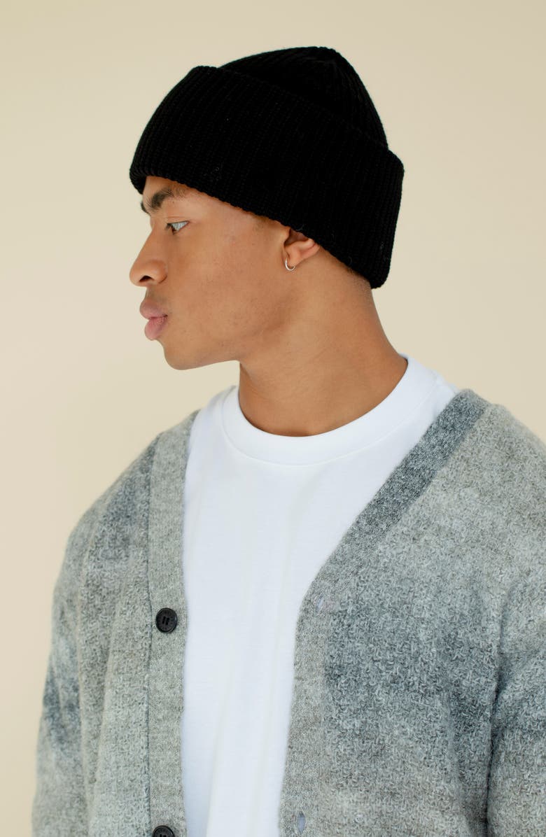 Arctic Fox & Co The Embroidered Merino Wool Beanie, Alternate, color, Arctic Black