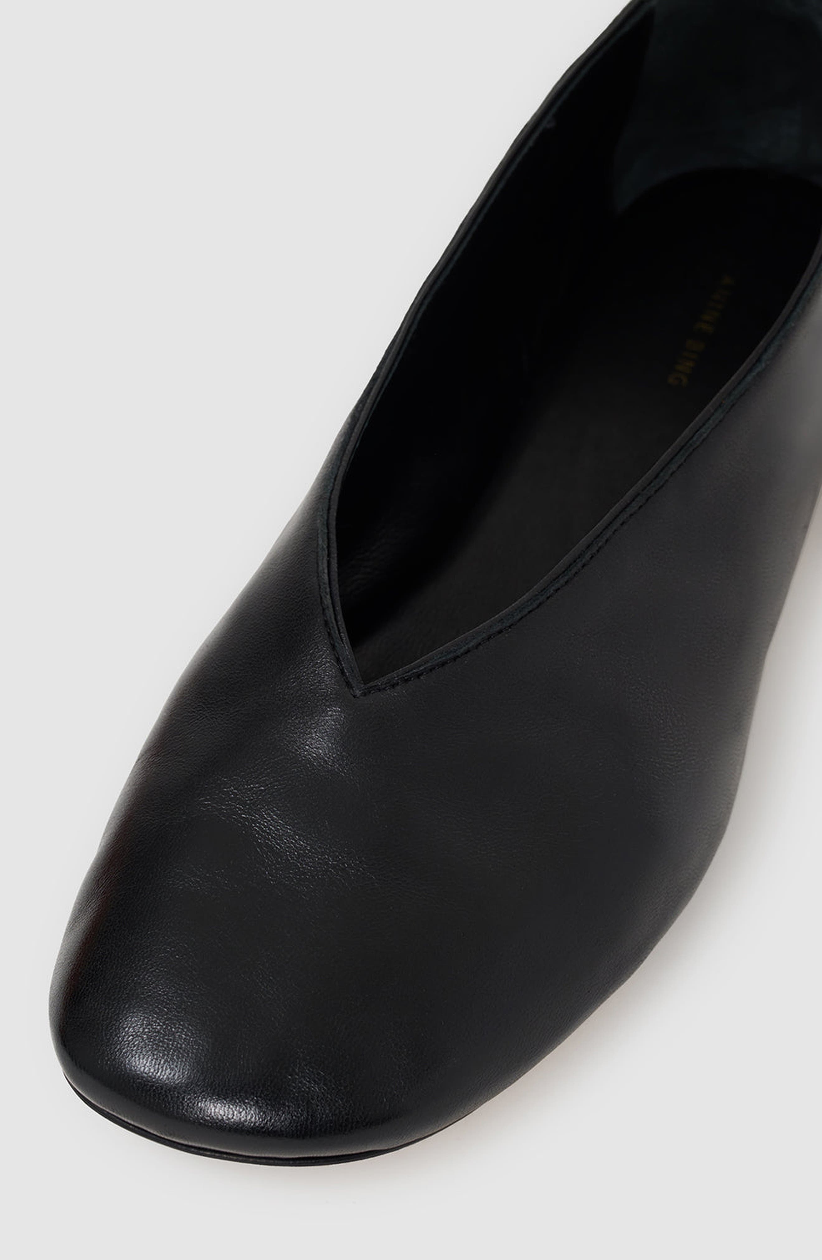 Ana Smooth Leather Flat, Alternate, color, Black