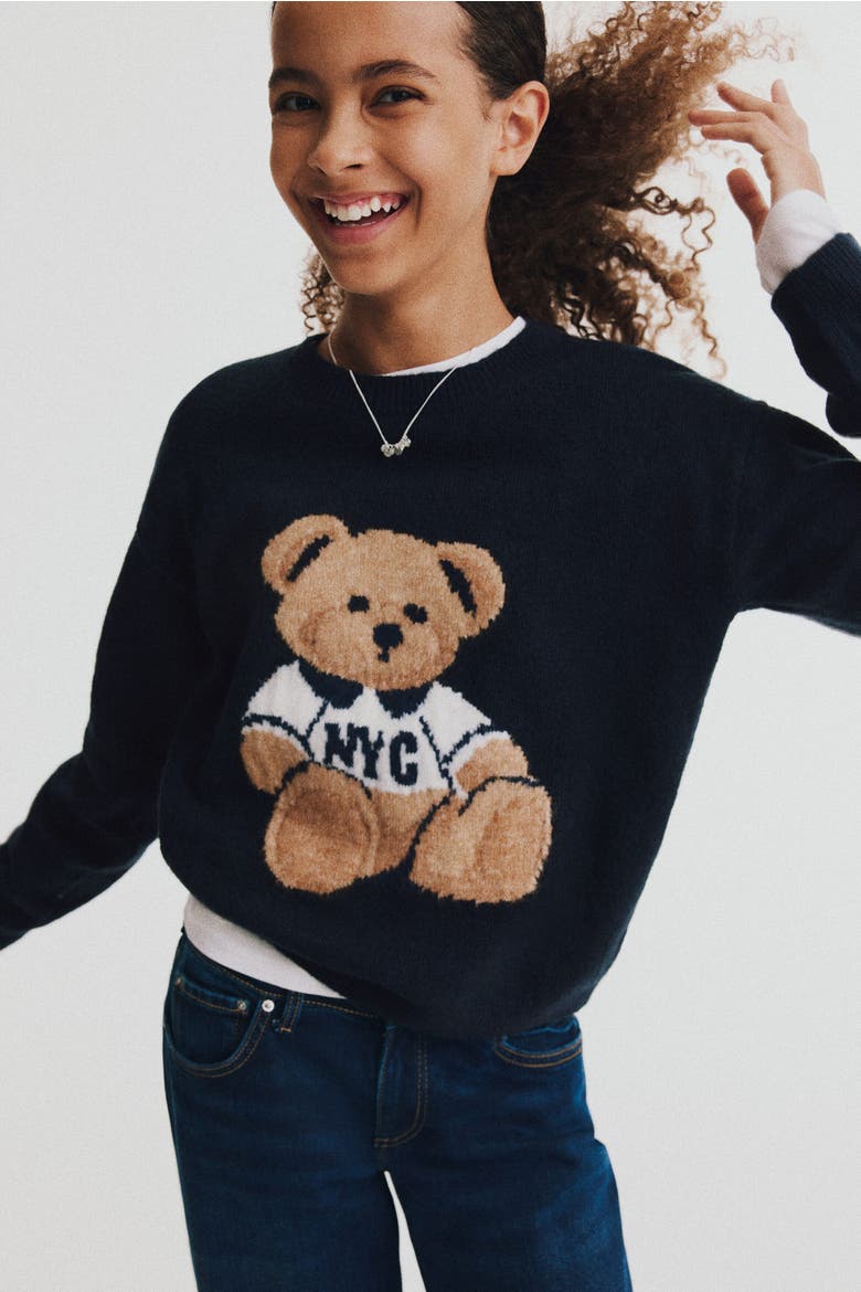 Loose-Fit Motif-Detail Sweater, Alternate, color, Navy blue/teddy bear