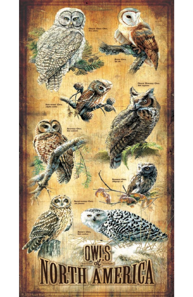 Sunsout Owls of North America 500 piece Jigsaw Puzzle for Adults, Alternate, color, Multicolor