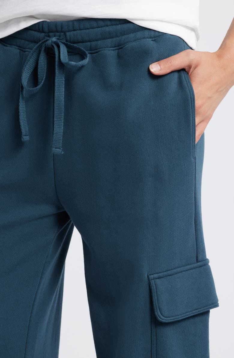 Nation LTD Casey Wide Leg Cargo Sweatpants, Alternate, color,