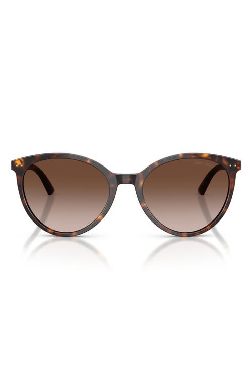 Jimmy Choo Jc5060 53mm Phantos Sunglasses In Havana/gradient Brown