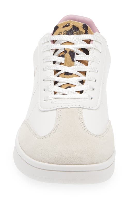 Roberto Cavalli Low Top Sneaker In White