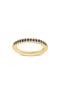  Gold/ Sapphire