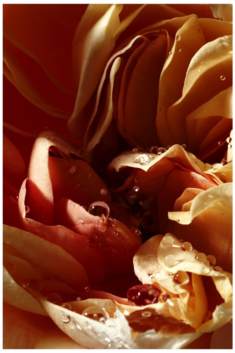 Pepper & Rose Hand Cream, Alternate, color, NO COLOR