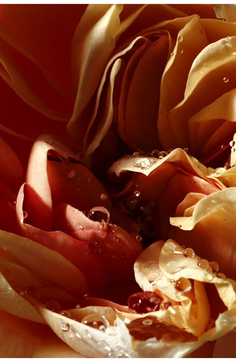 Dries Van Noten Pepper & Rose Hand Cream, Alternate, color, 