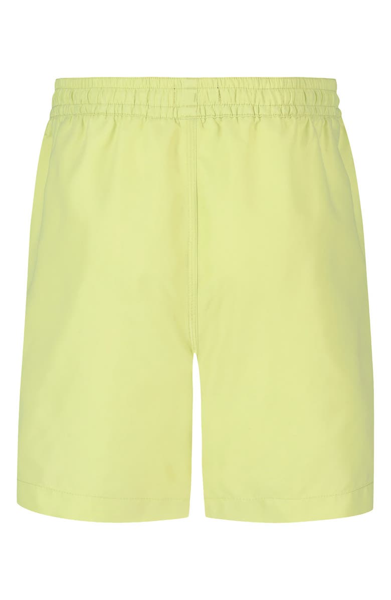 Billabong Kids' All Day Layback Swim Trunks, Alternate, color, Daiquiri Green