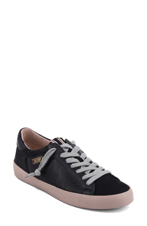 Shushop Rebel Sneaker In Black
