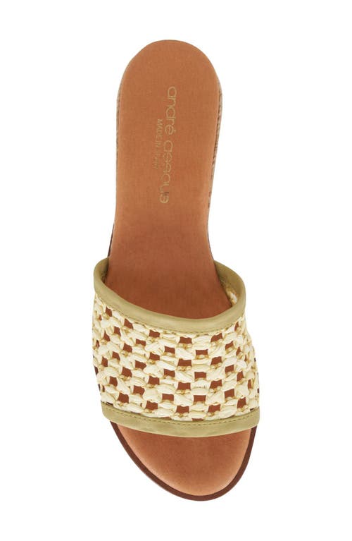 Andre Assous André Assous Nessie Platform Wedge Sandal In Pistachio