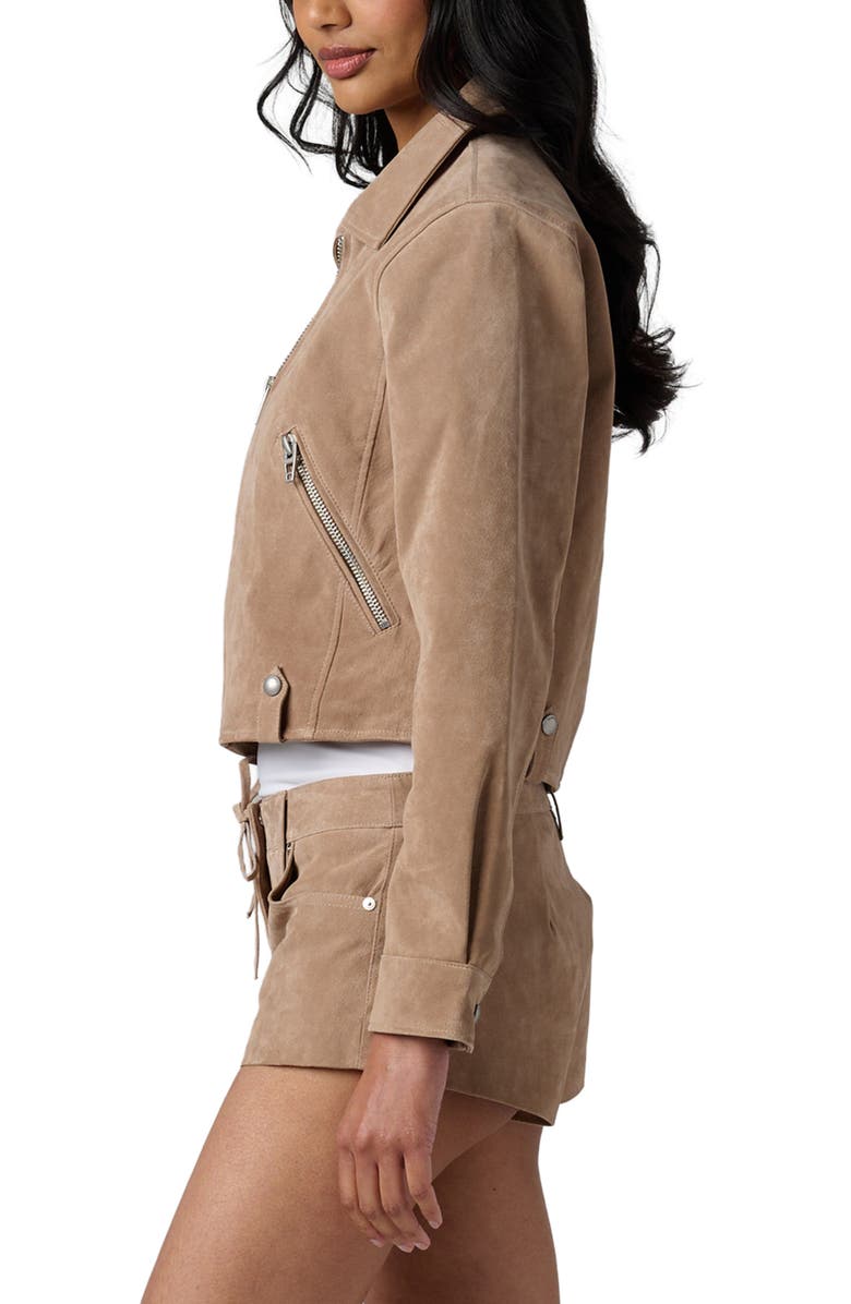 BLANKNYC Crop Suede Jacket, Alternate, color, Latte Frappe