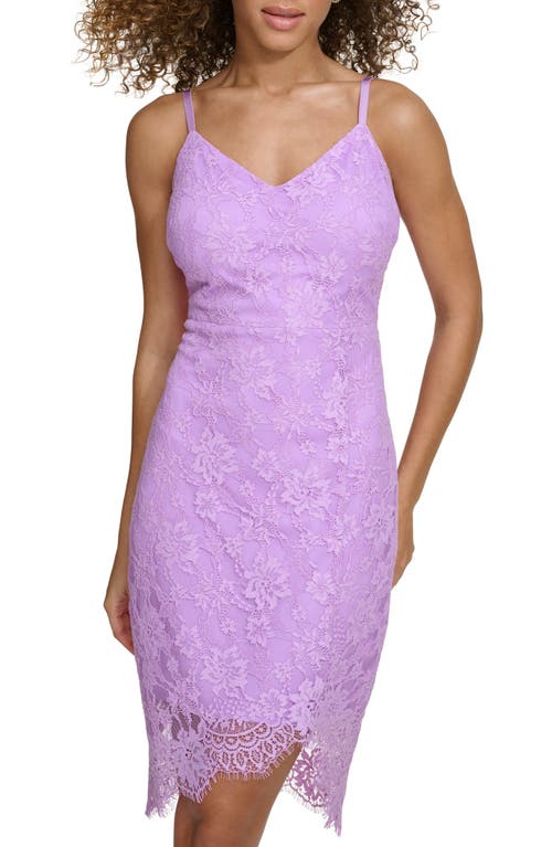 Siena Corded Lace Mini Dress In Lilac