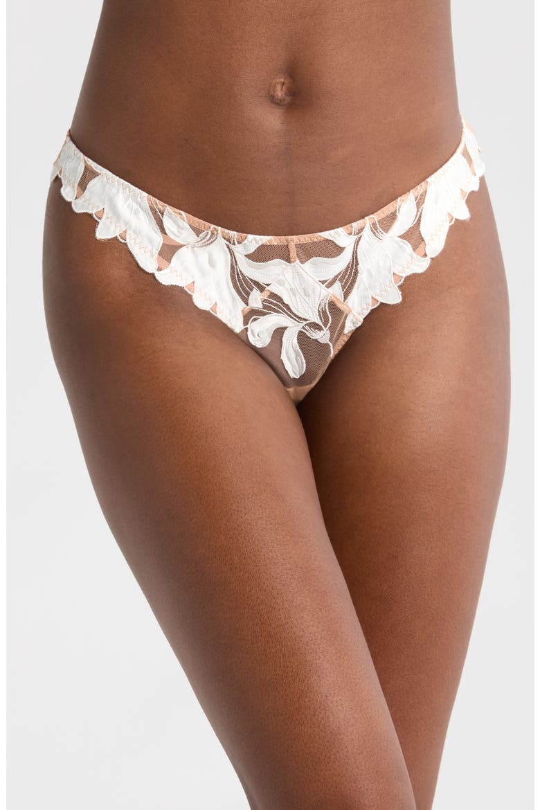 Lily Embroidered Hipster Thong, Main, color, IVORY
