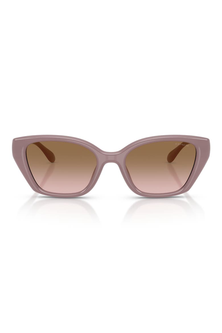 53mm Irregular Sunglasses, Main, color, MILKY PUTTY / BROWN PEACH