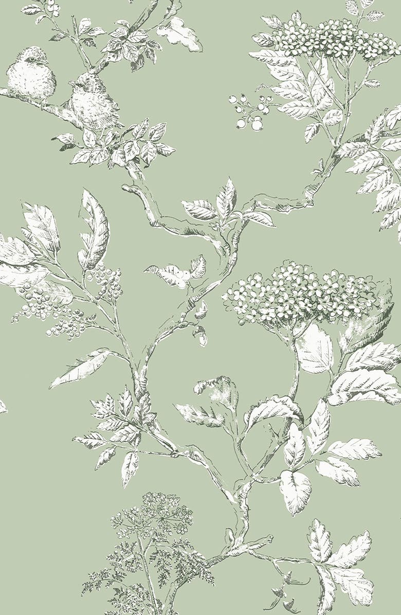 GRAHAM AND BROWN Laura Ashley Elderwood Sage Removable Wallpaper, Main, color, 