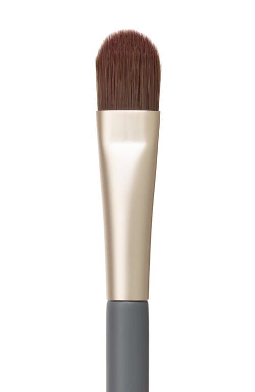 Jane Iredale Camouflage Brush In No Color