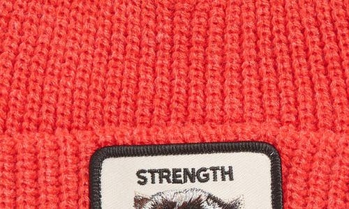 Goorin Bros . The Strength Beanie In Blue
