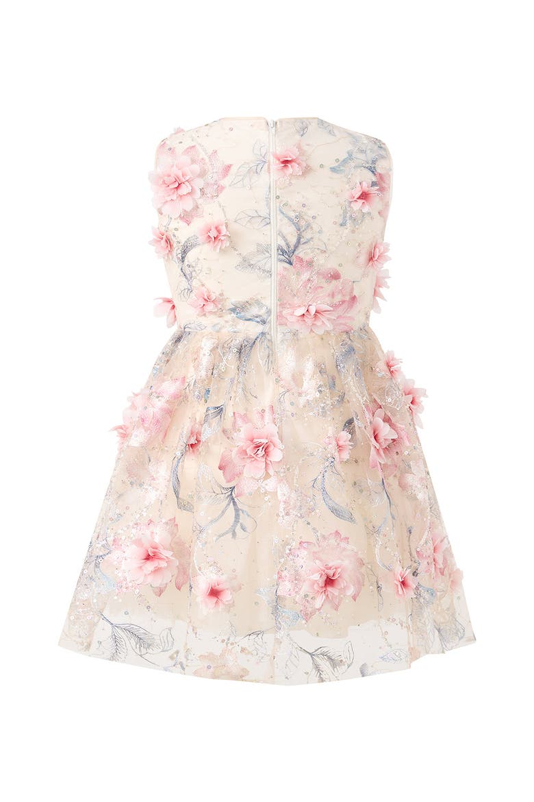 Rosalia Embroidered Mini Dress, Alternate, color, Floral