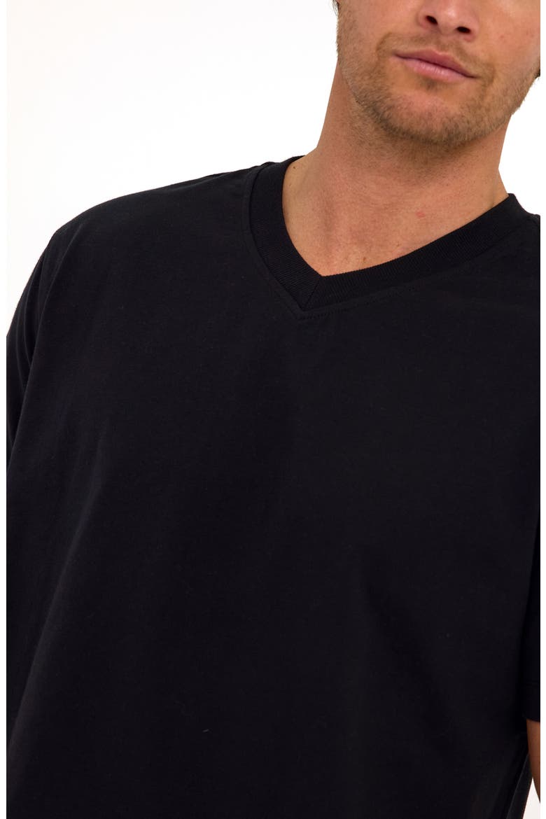 Roger Relaxed Fit V-Neck Cotton Jersey T-Shirt, Alternate, color, BLACK