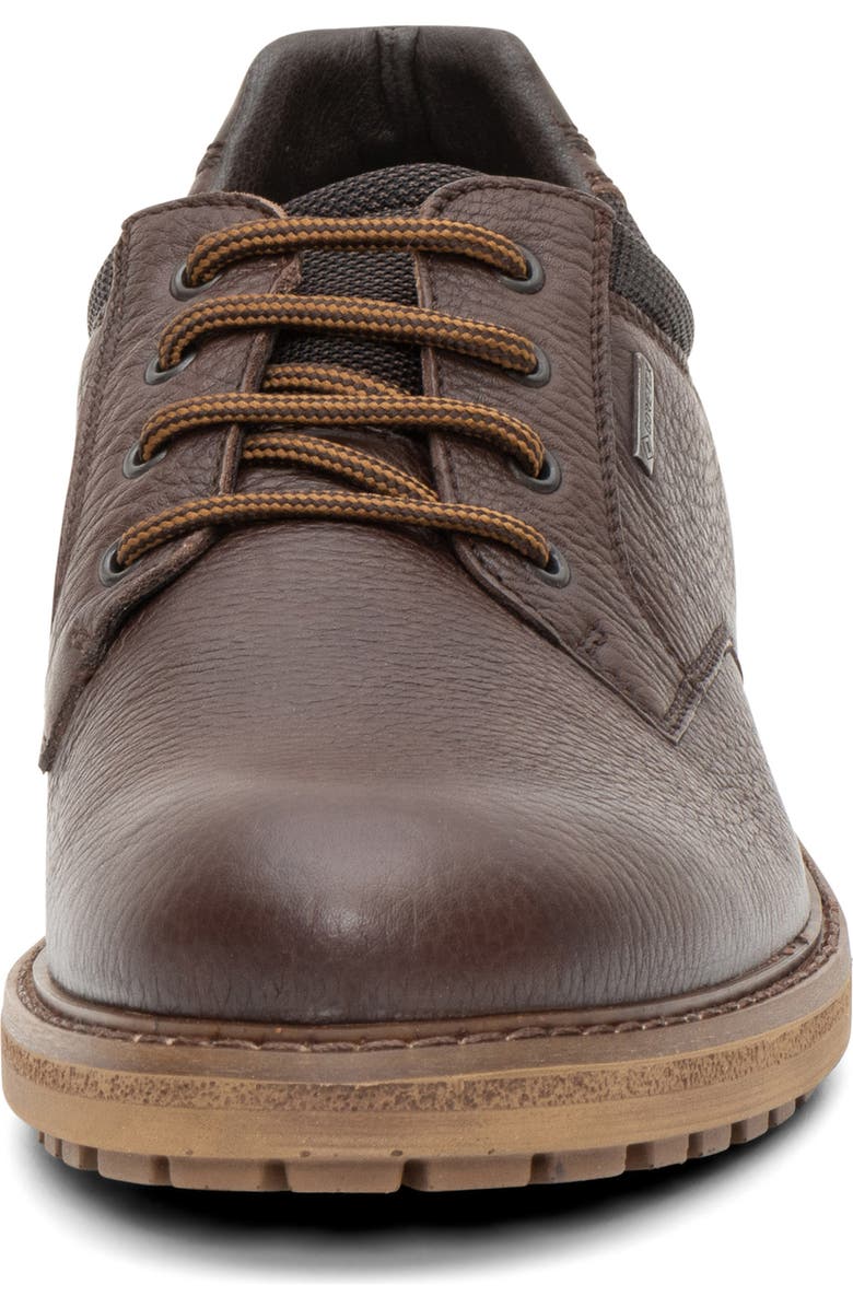 ara Farren Waterproof Plain Toe Derby, Alternate, color, Brown