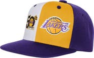 Mitchell & Ness Youth Mitchell & Ness Purple Los Angeles Lakers 50th Anniversary Duo Front Snapback Hat