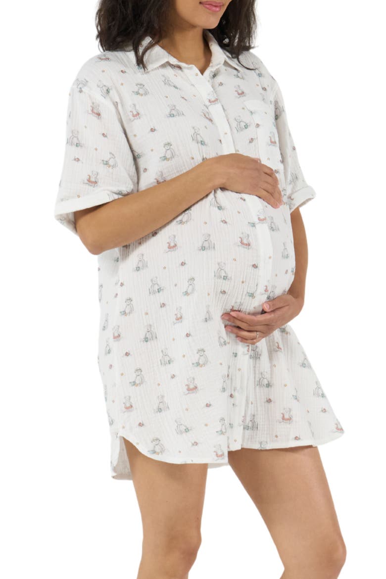 Elinor Maternity and Nursing Nightdress, Alternate, color, Multicolor