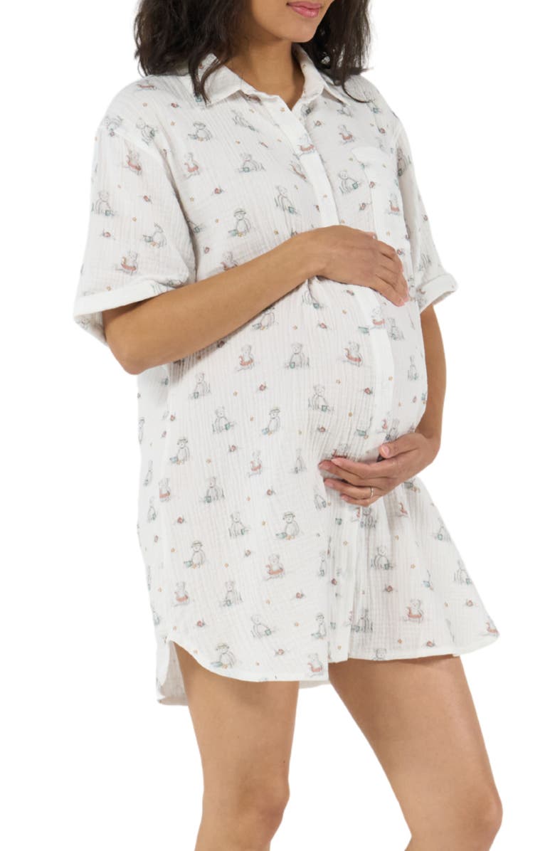 Cache Coeur Elinor Maternity and Nursing Nightdress, Alternate, color, Multicolor