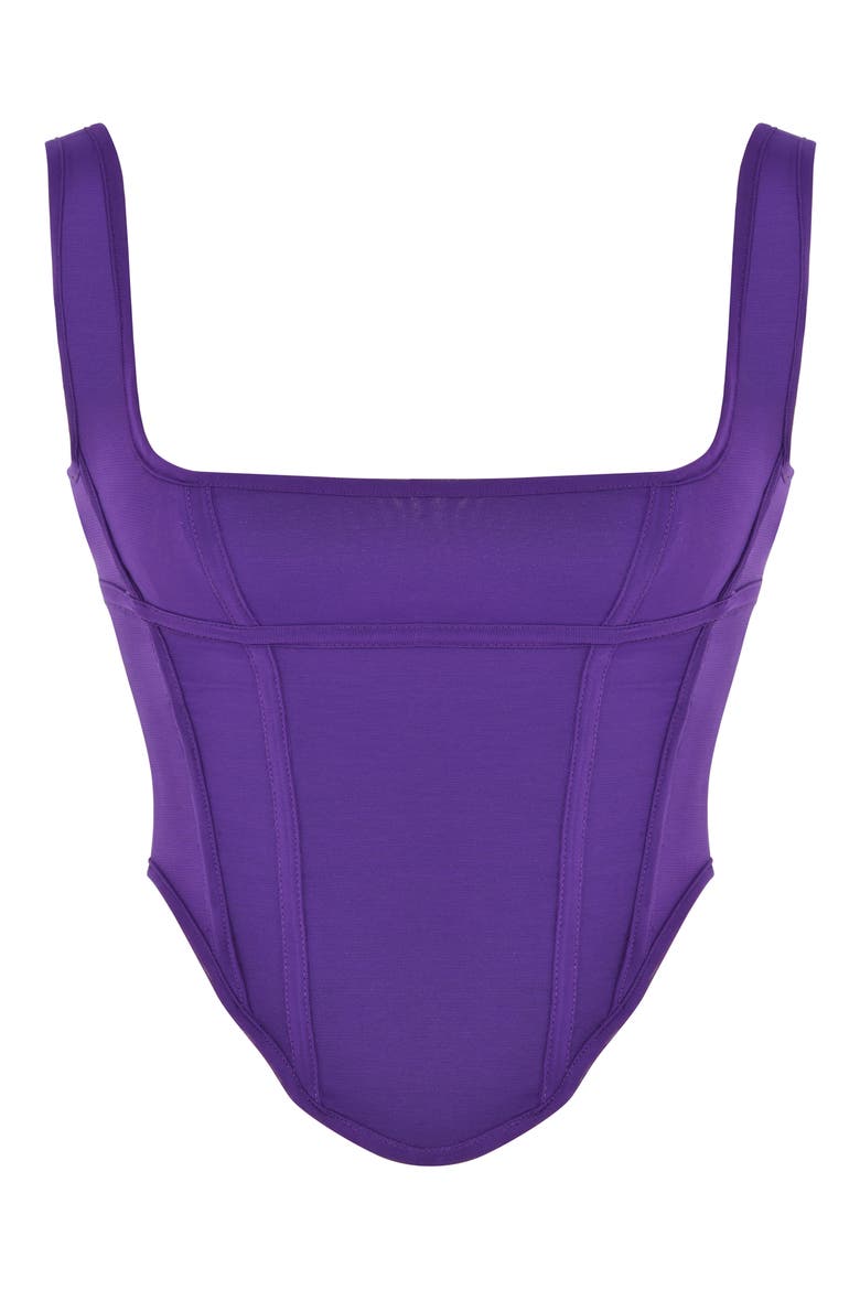 Edetta Powermesh Corset Top, Alternate, color, GRAPE