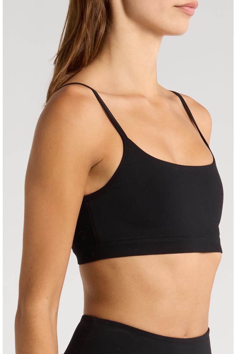 Core Sports Bra, Alternate, color, BLACK