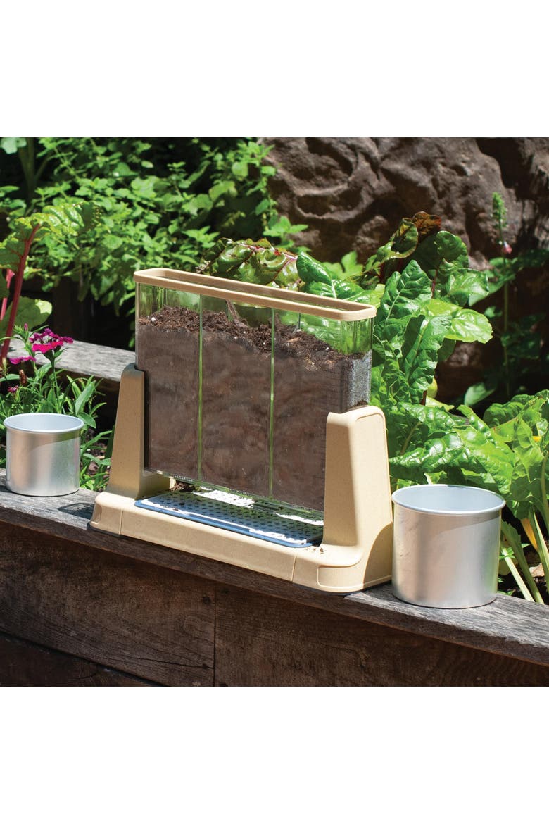 Explore and Discover 3 Section Root View Planter, Alternate, color, Clear