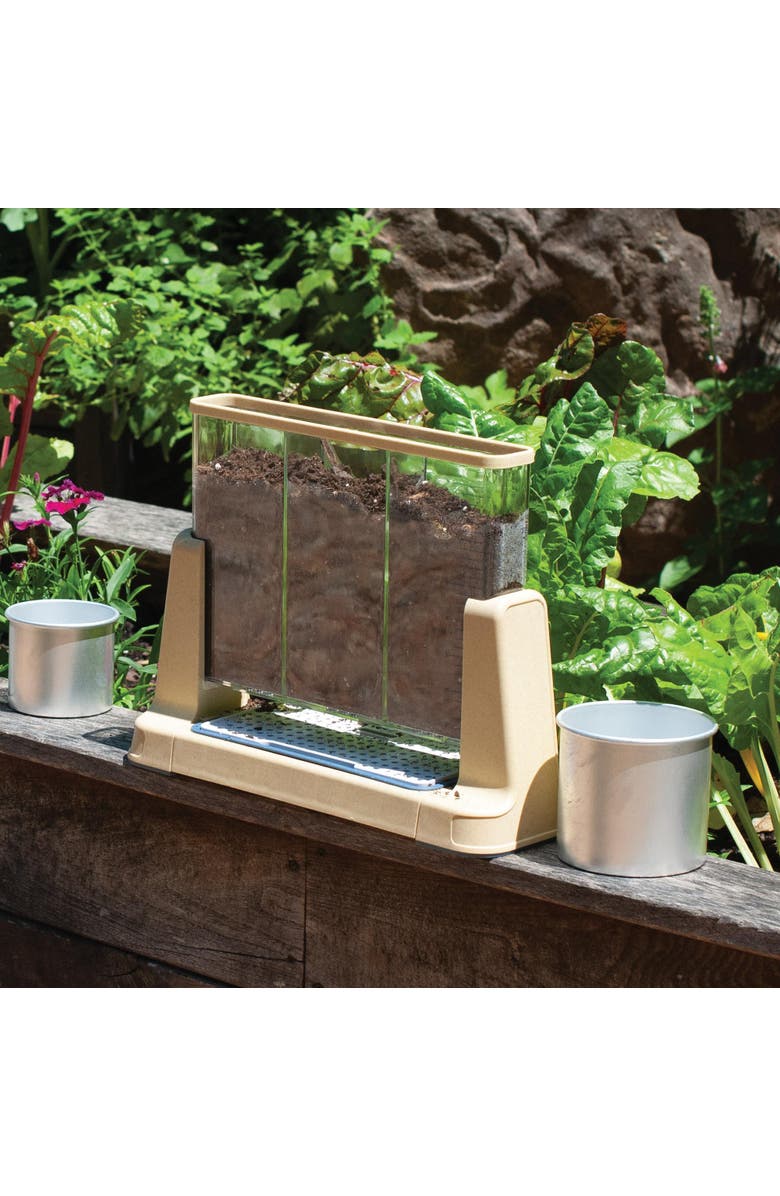 Kaplan Early Learning Company Explore and Discover 3 Section Root View Planter, Alternate, color, Clear