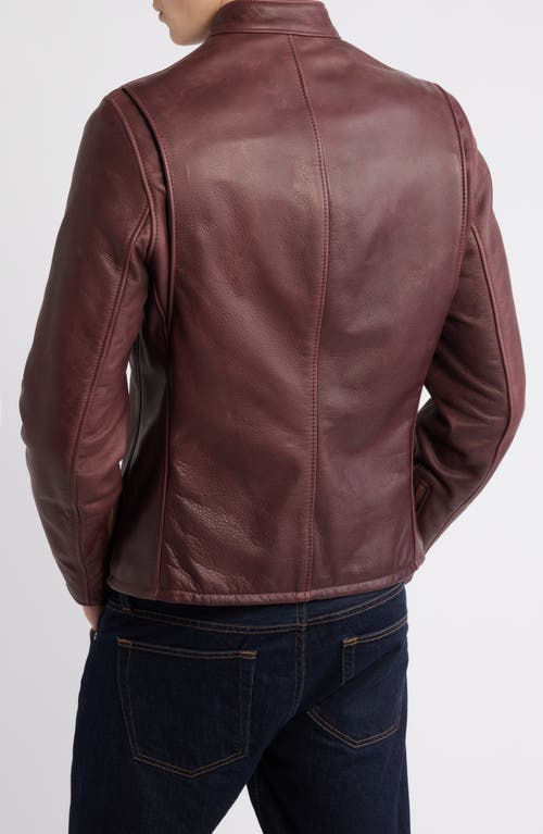 Schott Nyc Café Racer Oil Tanned Leather Moto Jacket In Burgundy