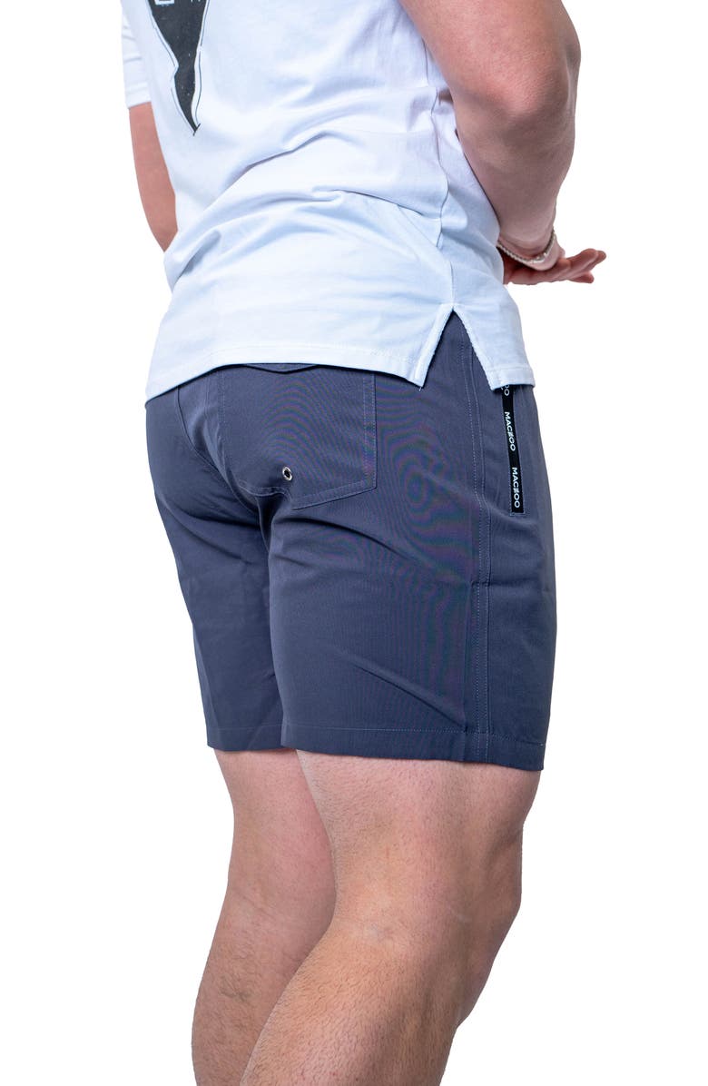 Maceoo Lion Swim Trunks, Alternate, color, Grey