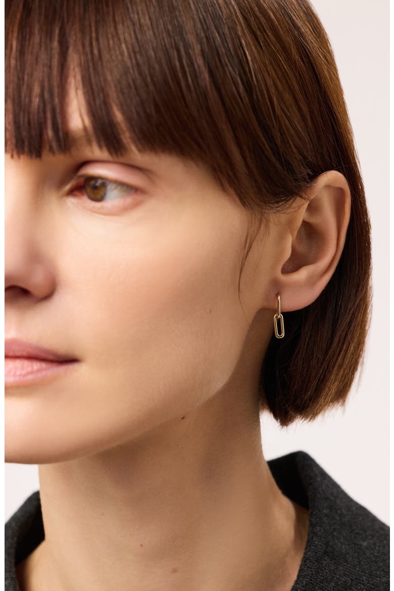 Solid Yellow Gold - Oval Links Drop Earrings, Alternate, color, Gold