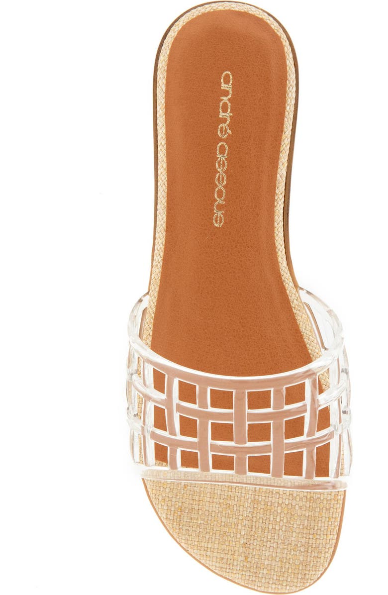 André Assous Nabil Jelly Slide Sandal, Alternate, color, Clear