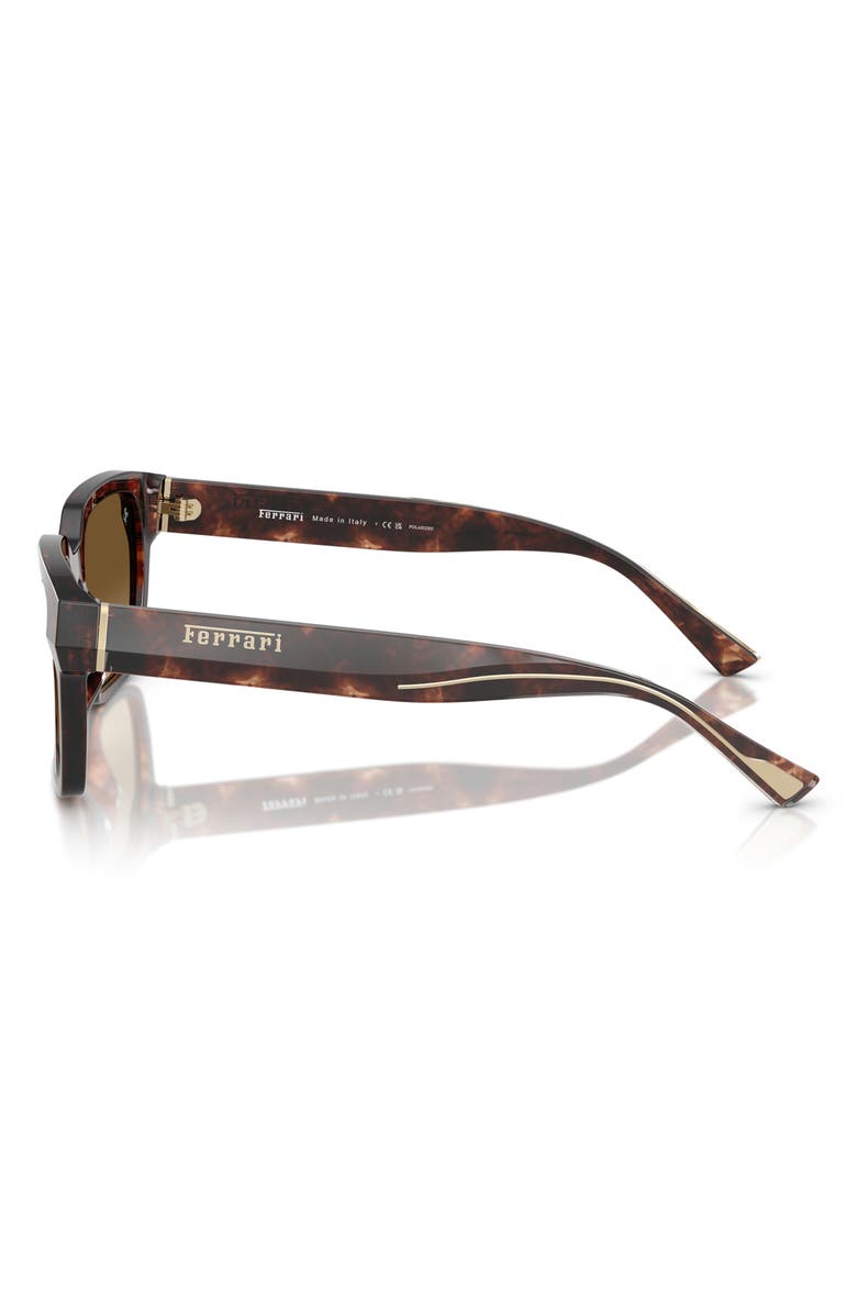 Scuderia Ferrari 55mm Polarized Square Sunglasses, Alternate, color, Caramel Havana / Brown