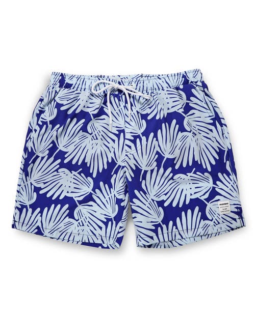 Mosmann Australia Board Shorts In Blue