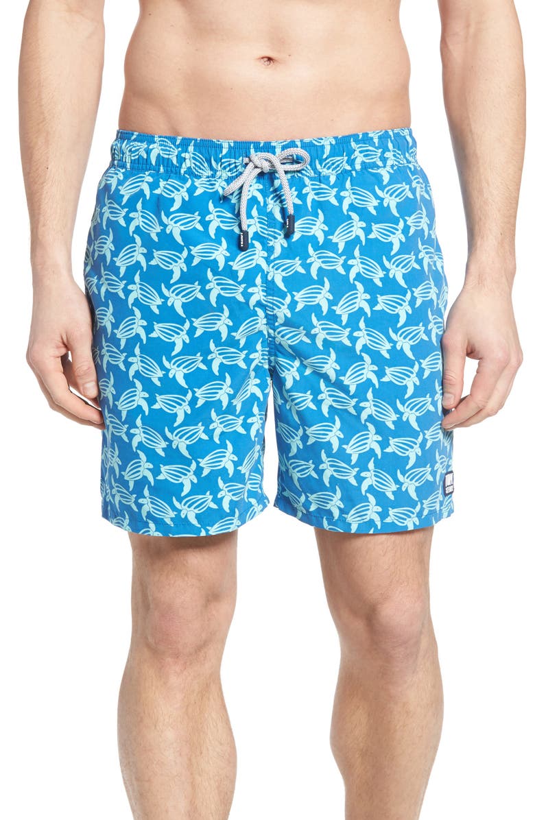Tom & Teddy Turtle Print Swim Trunks, Main, color, 