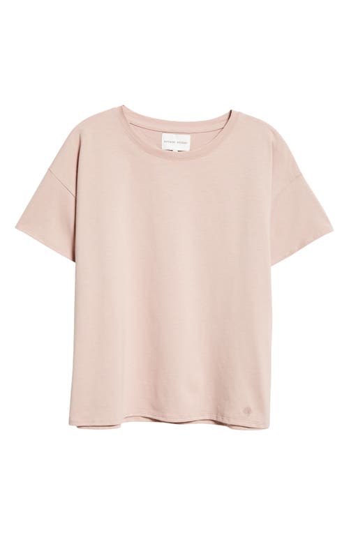 LOULOU DE SAISON LOULOU DE SAISON BASILUZZO COTTON T-SHIRT