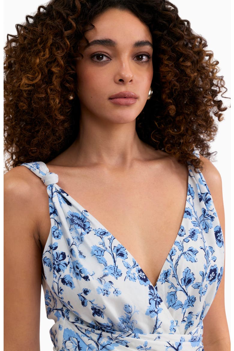 Emelia Printed Dress, Alternate, color, Alaskan Blue Multi