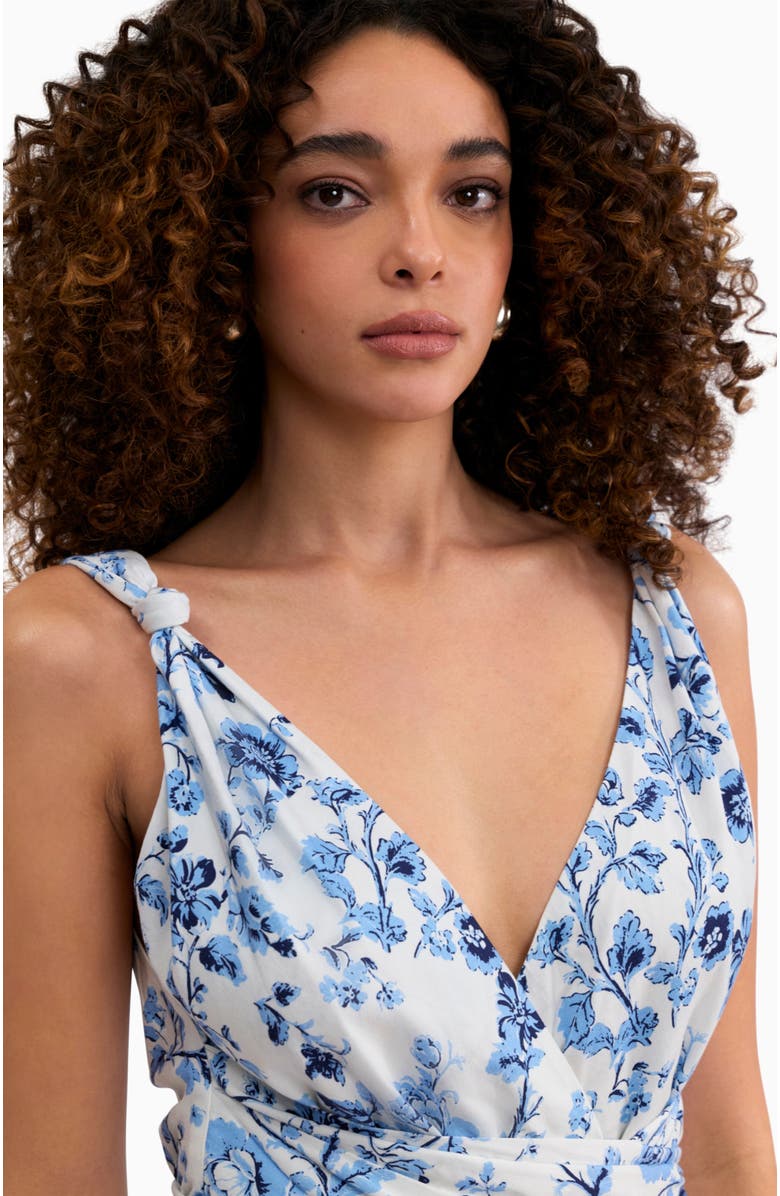 Rebecca Taylor Emelia Printed Dress, Alternate, color, Alaskan Blue Multi