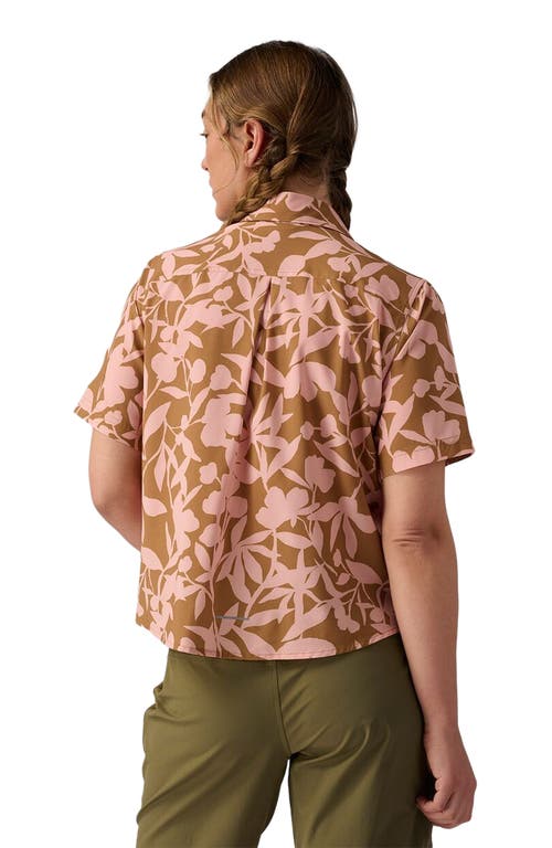 Backcountry Slickrock Short-sleeve Button-up Jersey In Brown