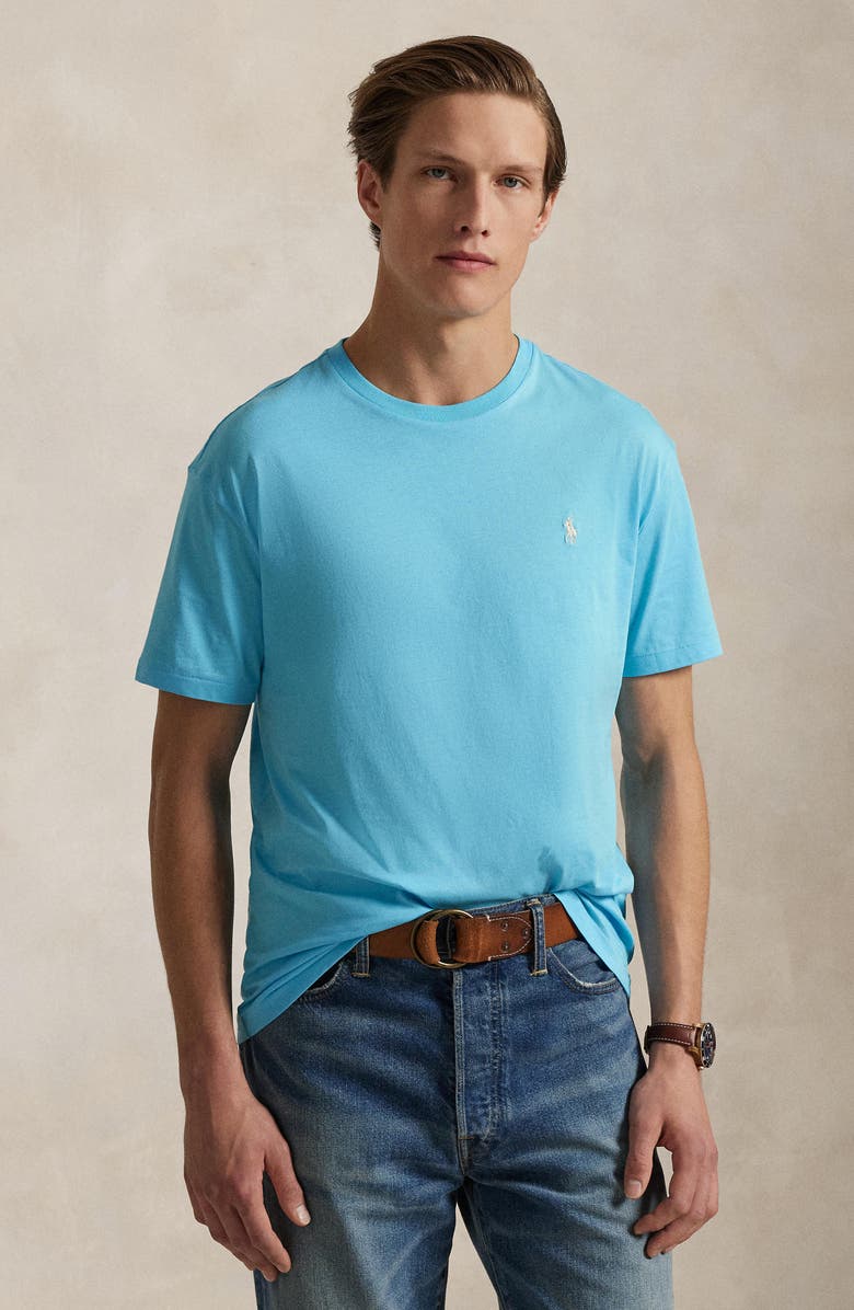 Polo Ralph Lauren Embroidered Short Sleeve Jersey T-Shirt, Alternate, color, 