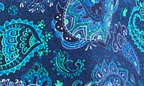 Robert Graham Titus Long Sleeve Button Down Shirt In Blue