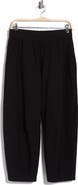 Eileen Fisher Ankle Barrel Pants